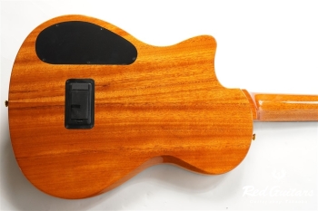 STAGE GUITAR LIMITED - BLUE BURST